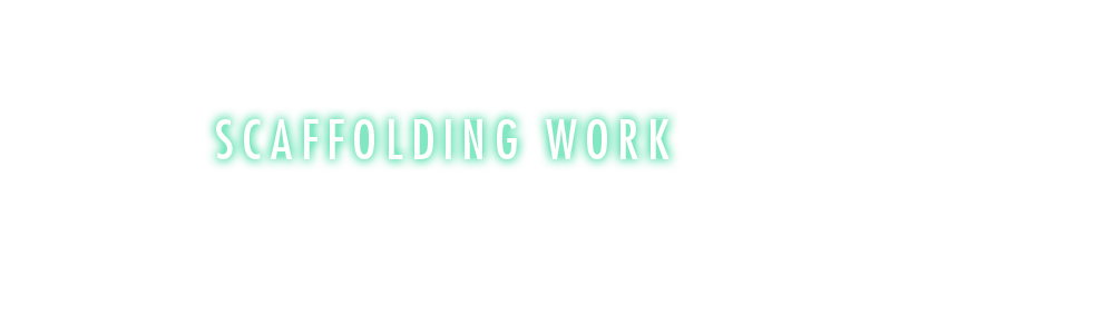 half_scaffold_bnr